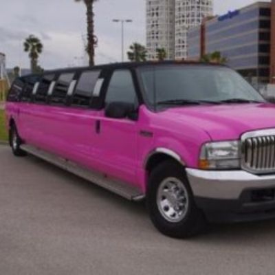 Ford Excursion Rosa 12 pax