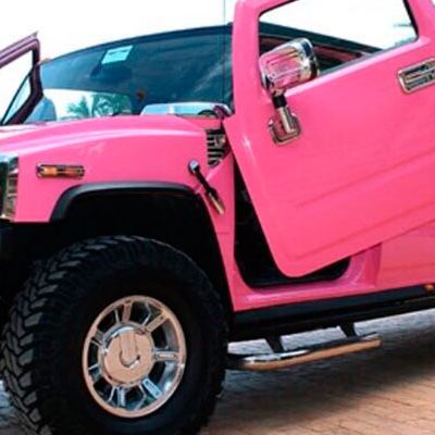 Hummer Rosa 12 pax